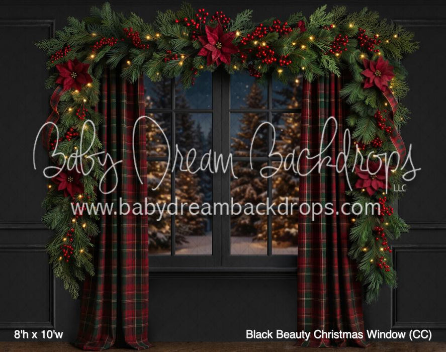 Black Beauty Christmas Window (CC)