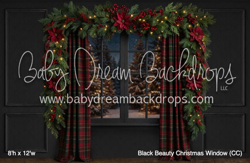 Black Beauty Christmas Window (CC)