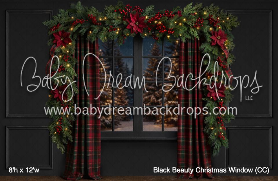 Black Beauty Christmas Window (CC)