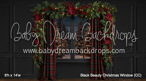 Black Beauty Christmas Window (CC)