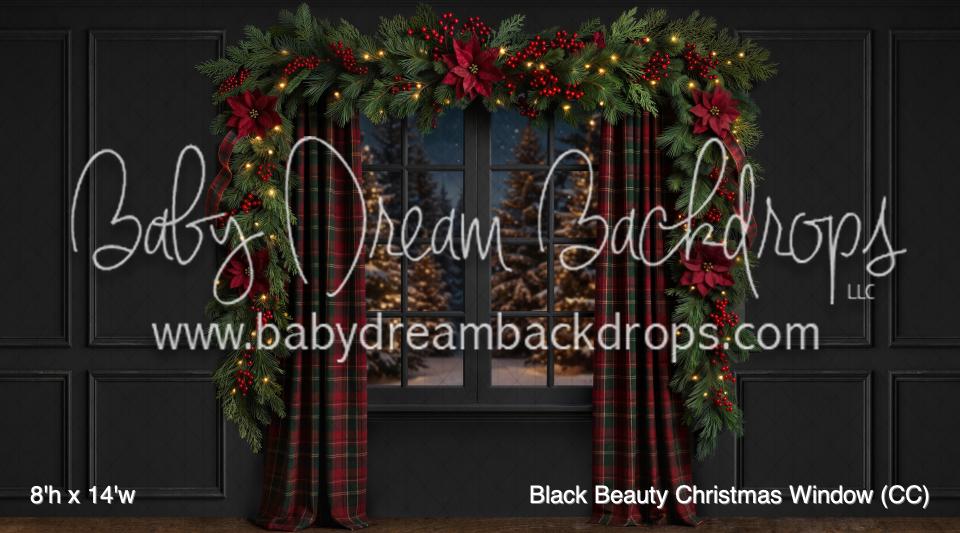 Black Beauty Christmas Window (CC)