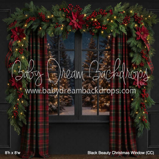 Black Beauty Christmas Window (CC)