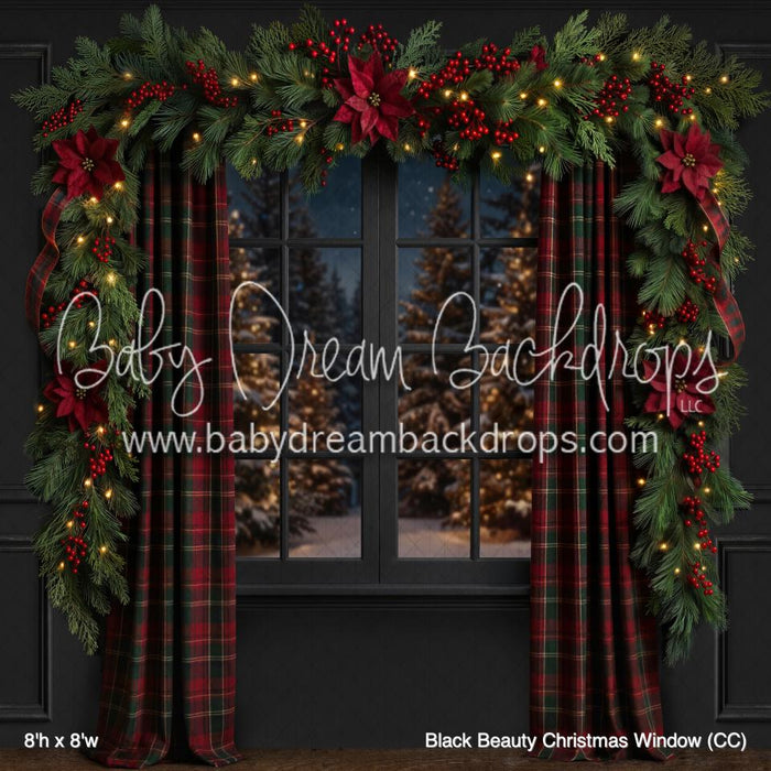 Black Beauty Christmas Window (CC)