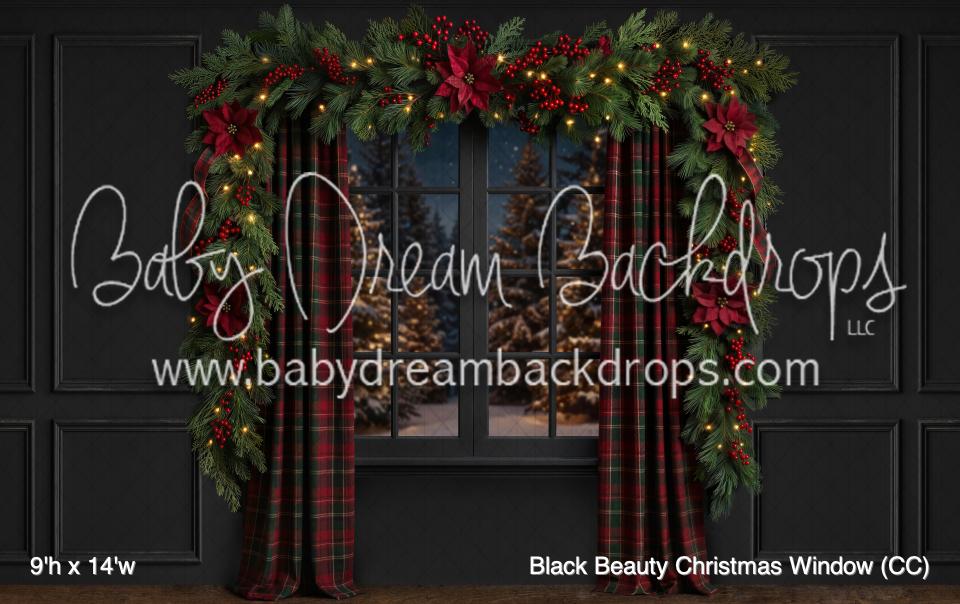 Black Beauty Christmas Window (CC)