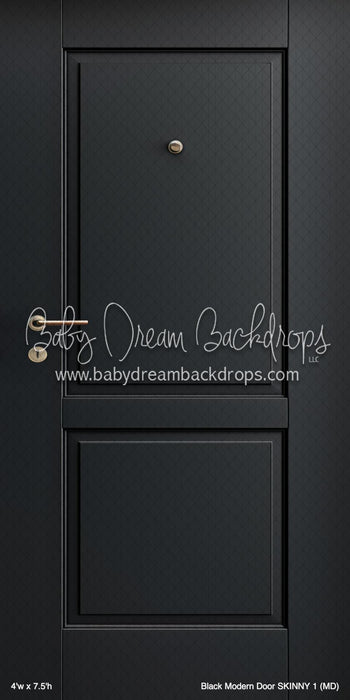 Black Modern Door SKINNY 1 (MD)
