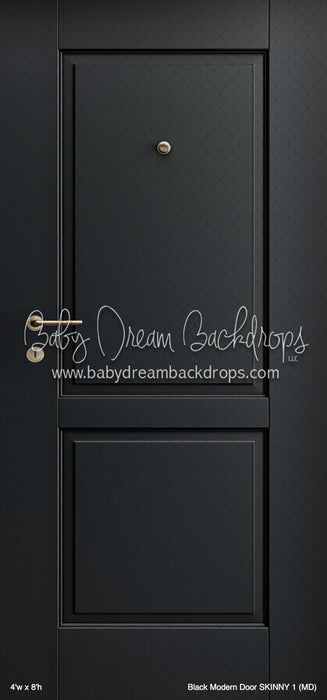 Black Modern Door SKINNY 1 (MD)