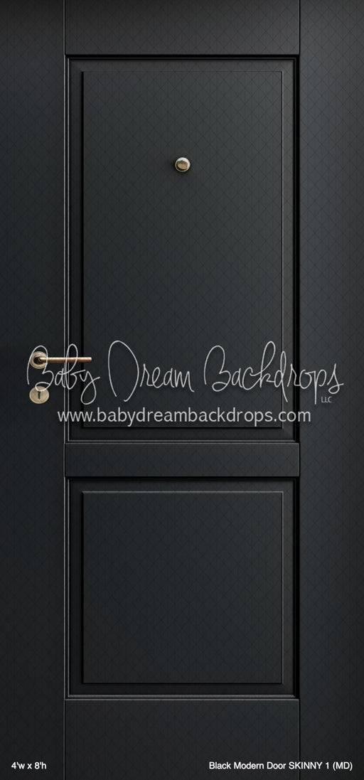 Black Modern Door SKINNY 1 (MD)