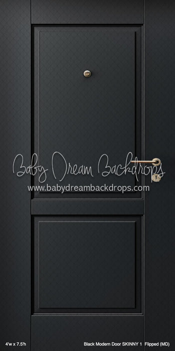 Black Modern Door SKINNY 1  Flipped (MD)