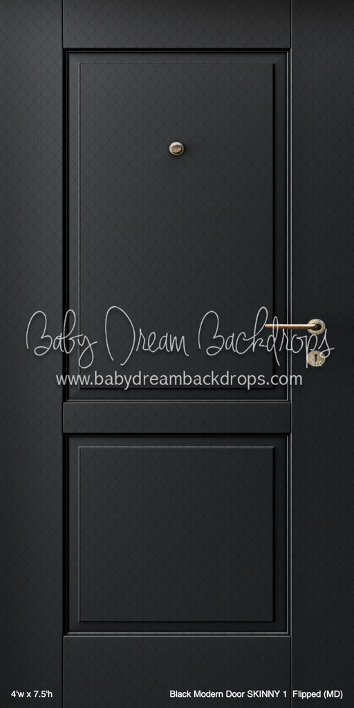 Black Modern Door SKINNY 1  Flipped (MD)