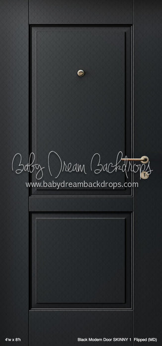 Black Modern Door SKINNY 1  Flipped (MD)