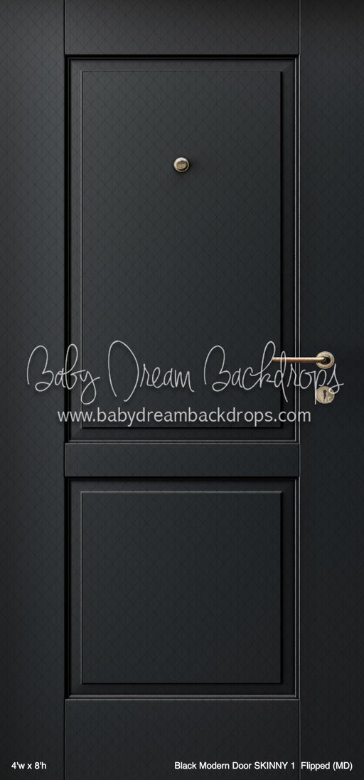 Black Modern Door SKINNY 1  Flipped (MD)