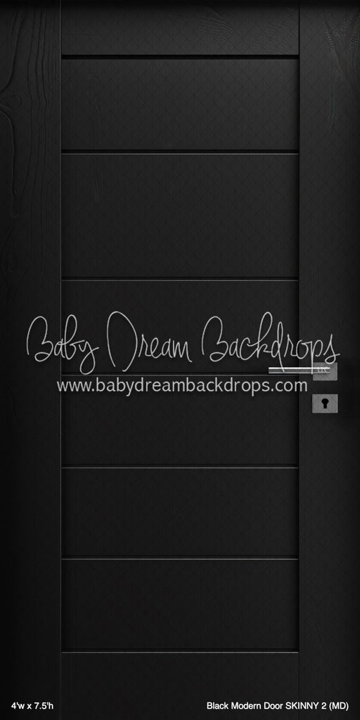 Black Modern Door SKINNY 2 (MD)