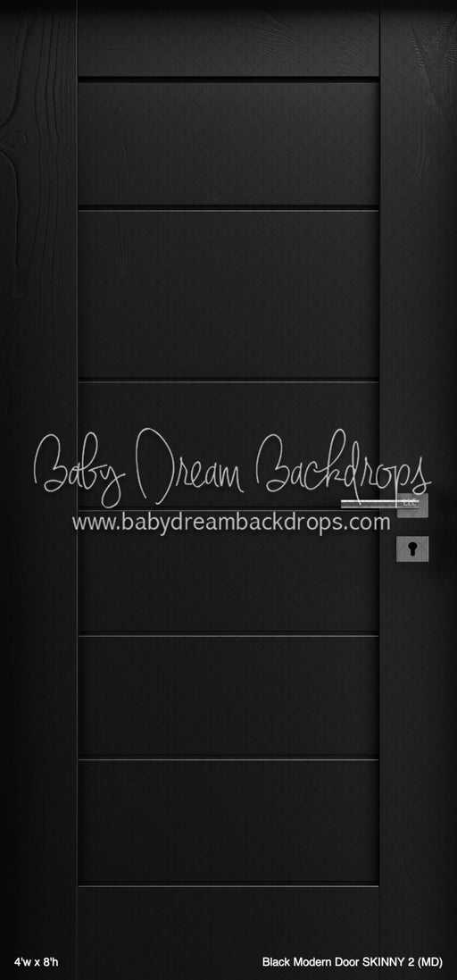 Black Modern Door SKINNY 2 (MD)