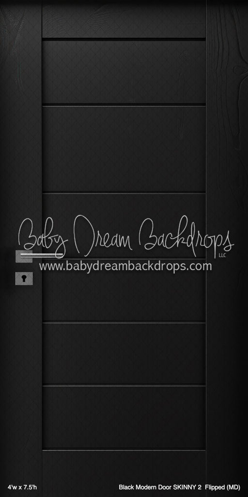 Black Modern Door SKINNY 2  Flipped (MD)
