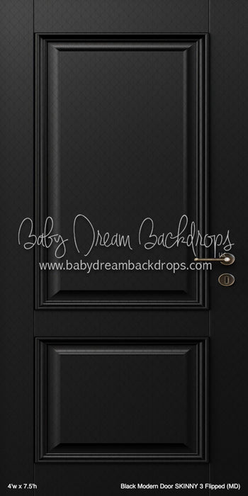 Black Modern Door SKINNY 3 Flipped (MD)