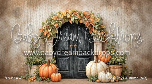 Black Onyx Autumn (VR)