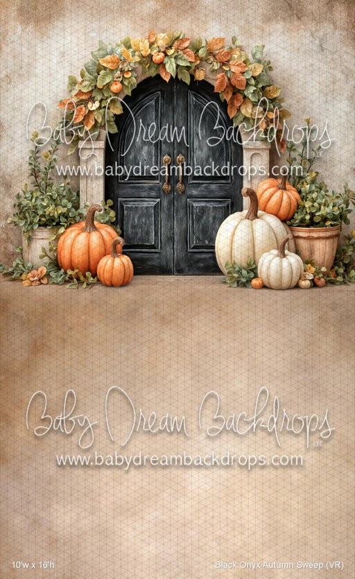 Black Onyx Autumn Sweep (VR)