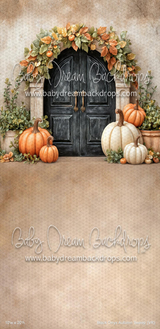 Black Onyx Autumn Sweep (VR)