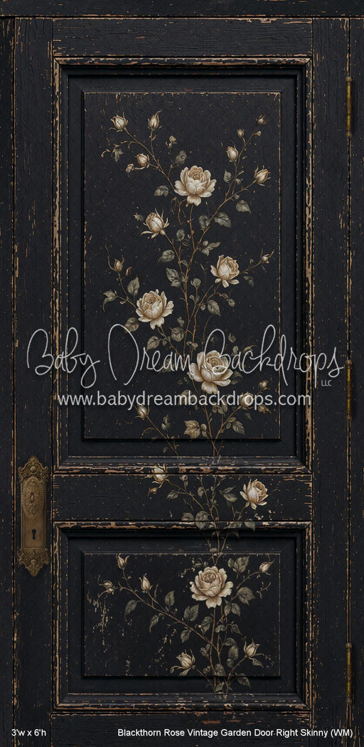 Blackthorn Rose Vintage Garden Door Right Skinny (WM)