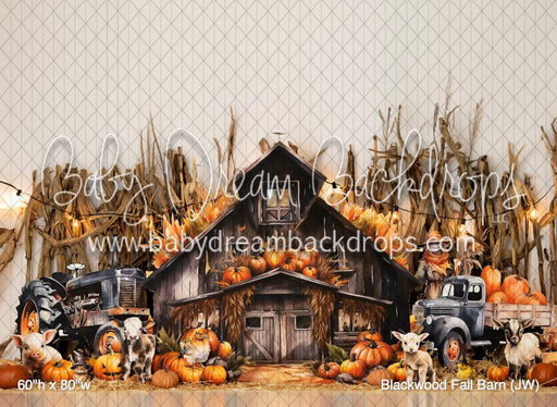 Blackwood Fall Barn (JW)