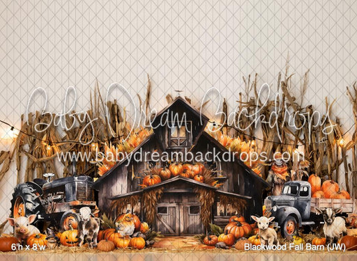 Blackwood Fall Barn (JW)