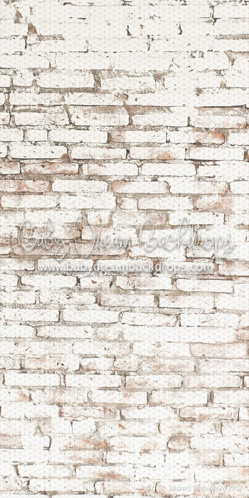 Blizzard Brick Skinny (CC)