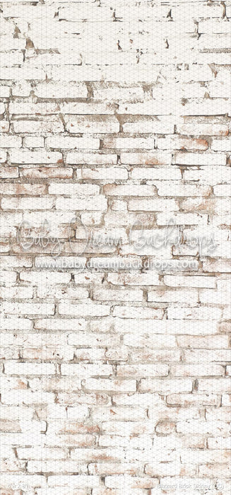 Blizzard Brick Skinny (CC)