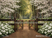Blooming Farm Path (JA)