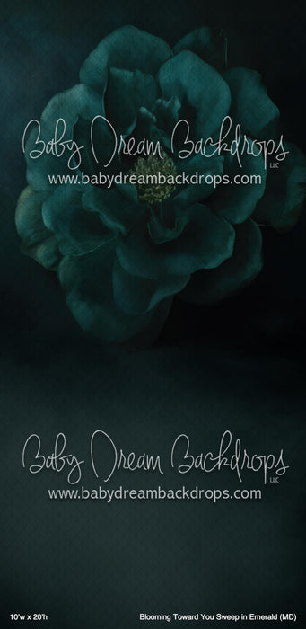 Blooming Toward You Sweep in Emerald (MD)