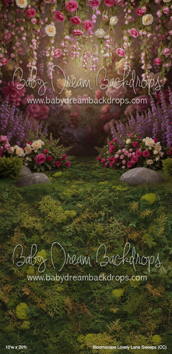 Bloomscape Lovely Lane Sweeps (CC)