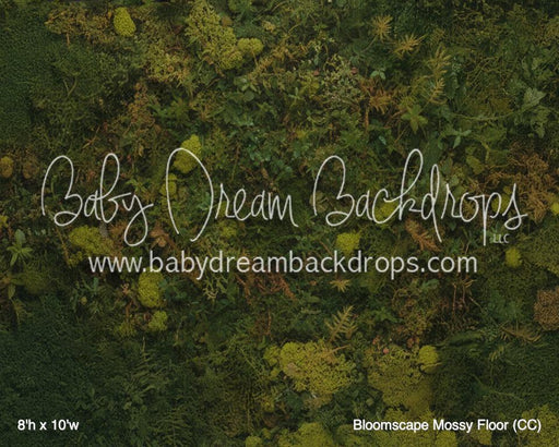 Bloomscape Mossy Floor (CC)