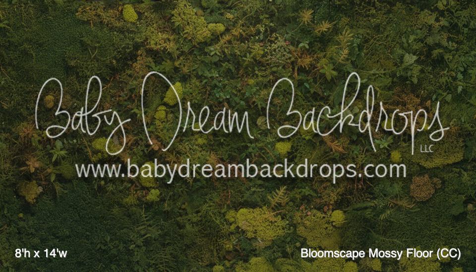 Bloomscape Mossy Fabric Floor (CC)