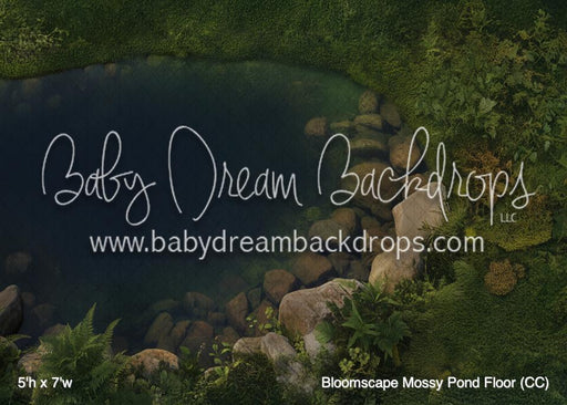 Bloomscape Mossy Pond Floor (CC)