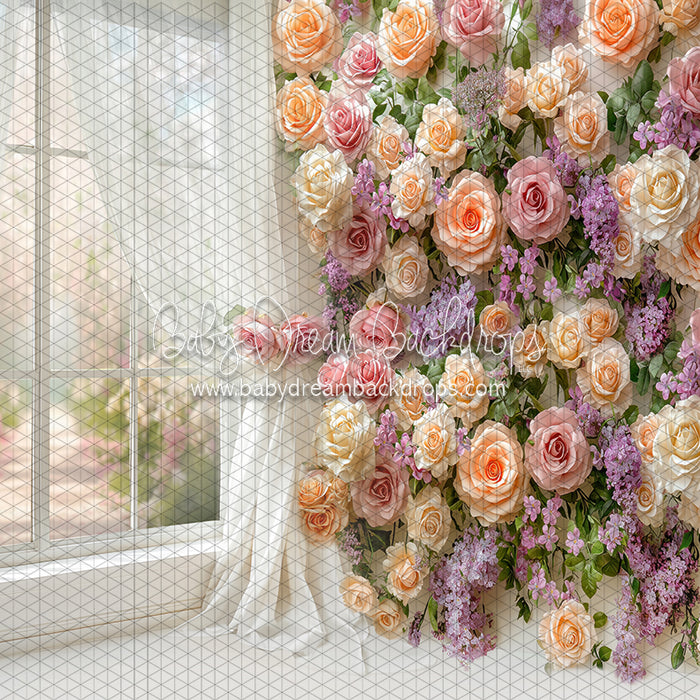 Blossom Corner Mabel (CC)