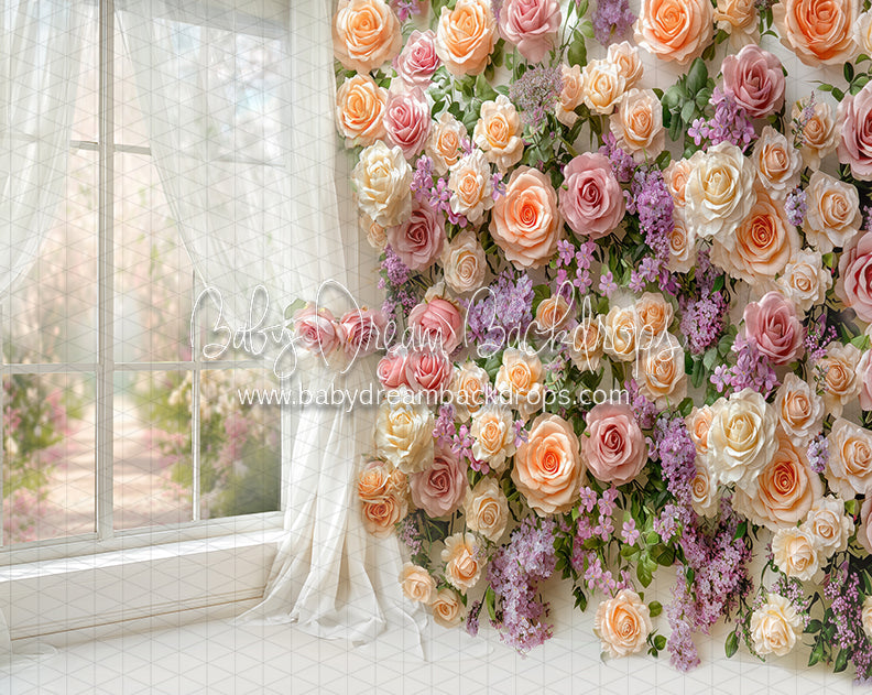 Blossom Corner Mabel (CC)