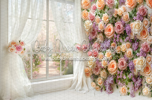 Blossom Corner Mabel (CC)