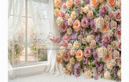 Blossom Corner Mabel (CC)