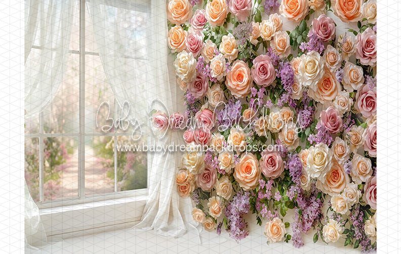 Blossom Corner Mabel (CC)