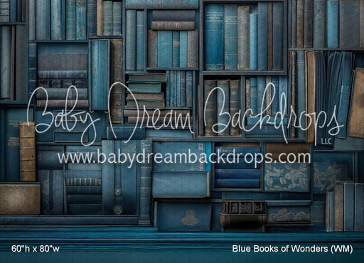 Blue Books of Wonders (WM)