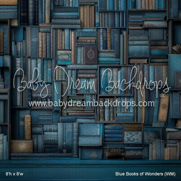 X Drop Blue Books of Wonders (WM)