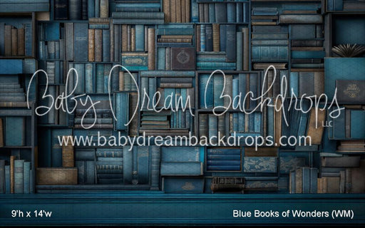 Blue Books of Wonders (WM)
