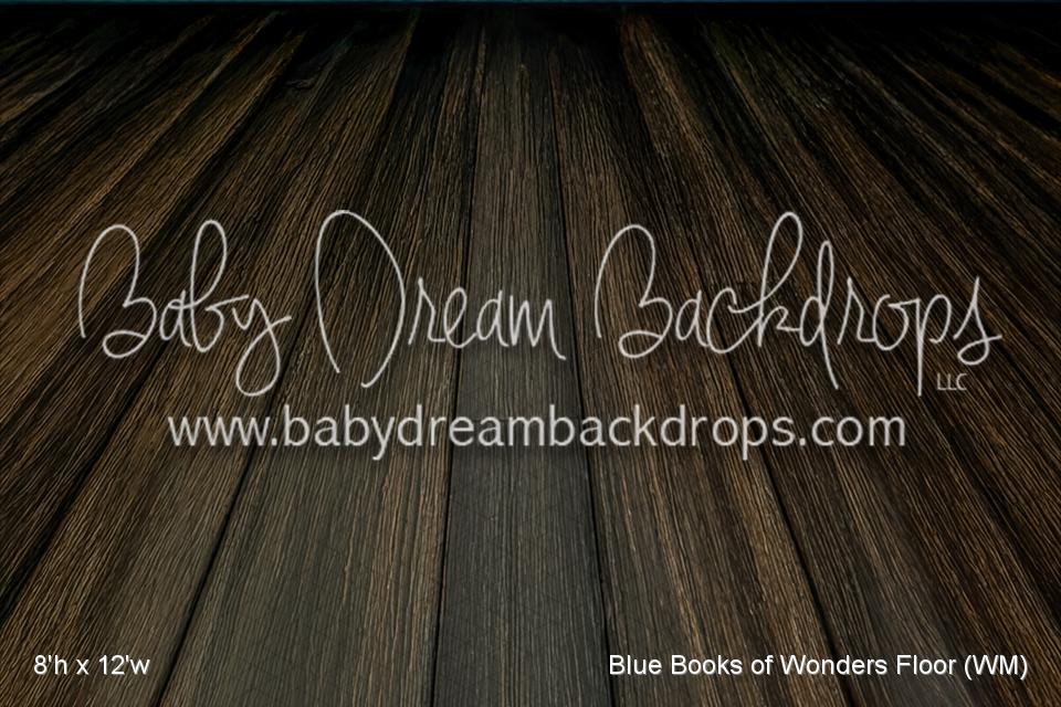 Blue Books of Wonders Floor (WM)