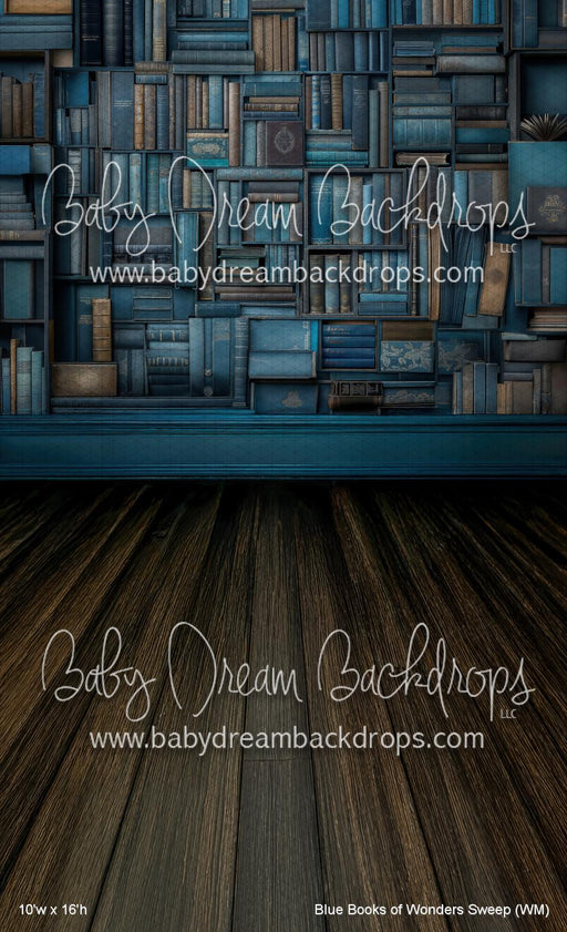 Blue Books of Wonders Sweep (WM)