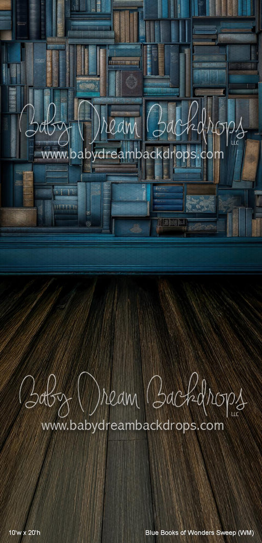 Blue Books of Wonders Sweep (WM)