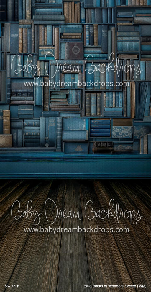 Blue Books of Wonders Sweep (WM)