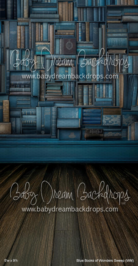 Blue Books of Wonders Sweep (WM)