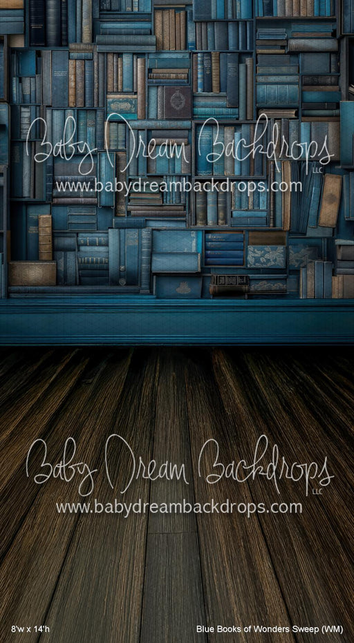 Blue Books of Wonders Sweep (WM)