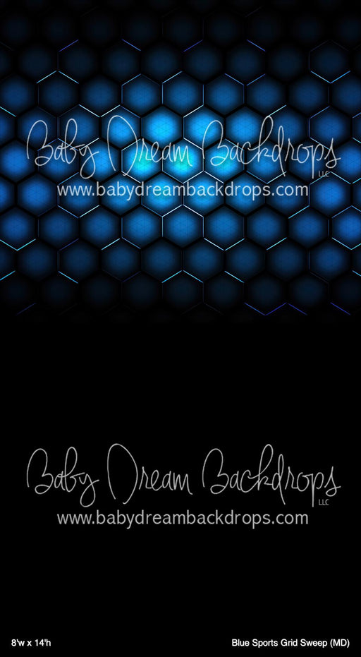 Blue Sports Grid Sweep (MD)