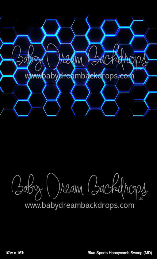 Blue Sports Honeycomb Sweep (MD)