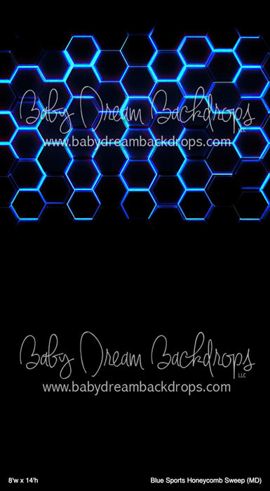 Blue Sports Honeycomb Sweep (MD)